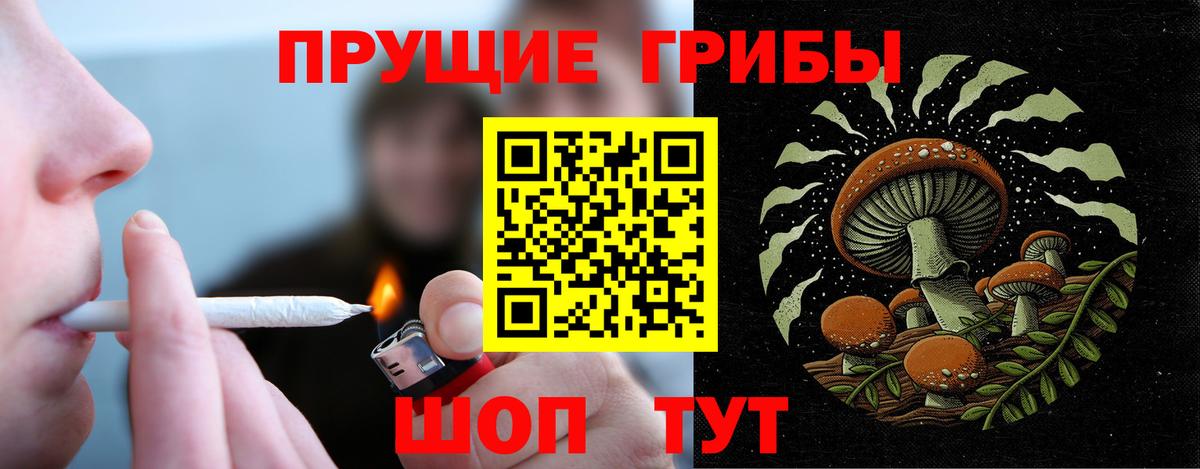 Сибай  Галлюциногенные грибы GOLDEN TEACHER  Галлюциногенные грибы MAGIC MUSHROOMS  наркота  Вход с VPN 