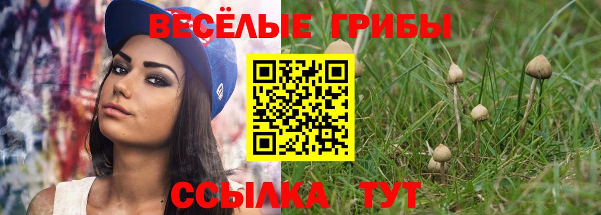 Псилоцибиновые грибы мицелий Сибай
